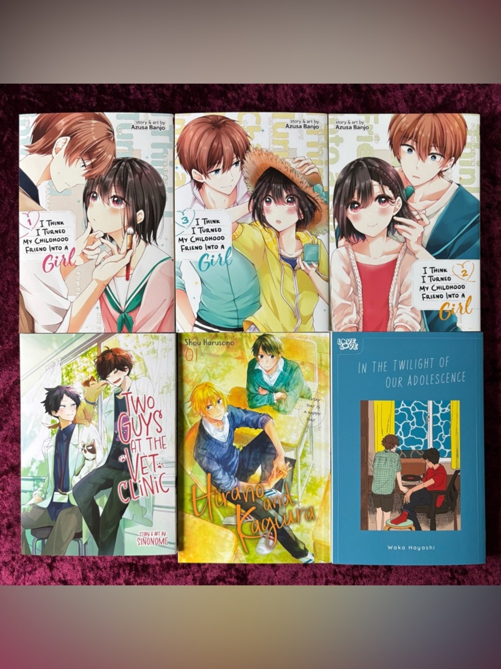 Assorted BL manga